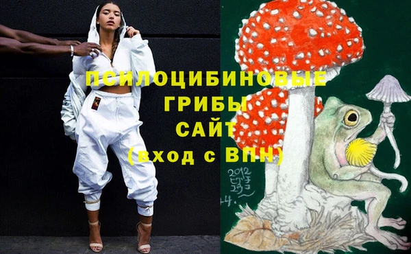 мдпв Верея