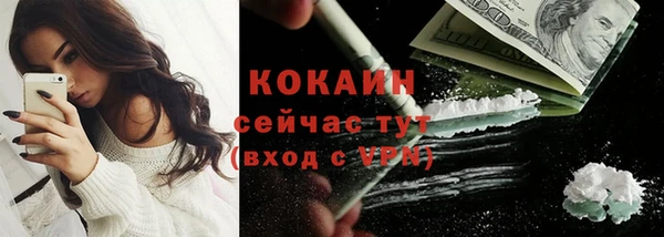 мдпв Верея