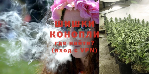мдпв Верея