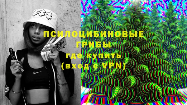 мдпв Верея
