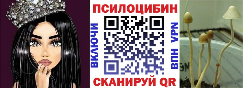 Псилоцибиновые грибы Cubensis Купить Лермонтов